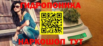 дмт Можайск